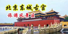 美女扣操视频网站中国北京-东城古宫旅游风景区